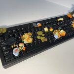 Full view of colorful fungi growing on keyboard