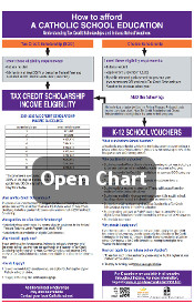 infographics of scholarship pathways click to open