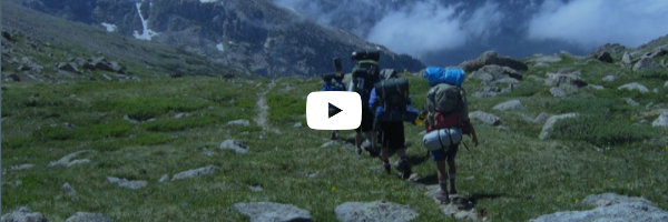 Summer Field Studies